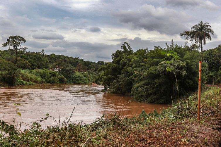 Estudo detecta presença de metais na urina de crianças em Brumadinho