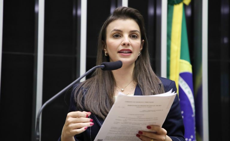 Comissão debate criação do Dia Nacional do Alho Brasileiro