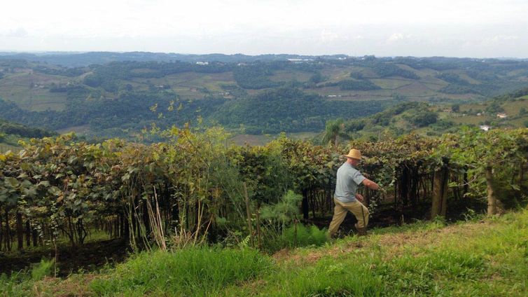 Entrega da declaração do ITR 2025 começa nesta segunda-feira