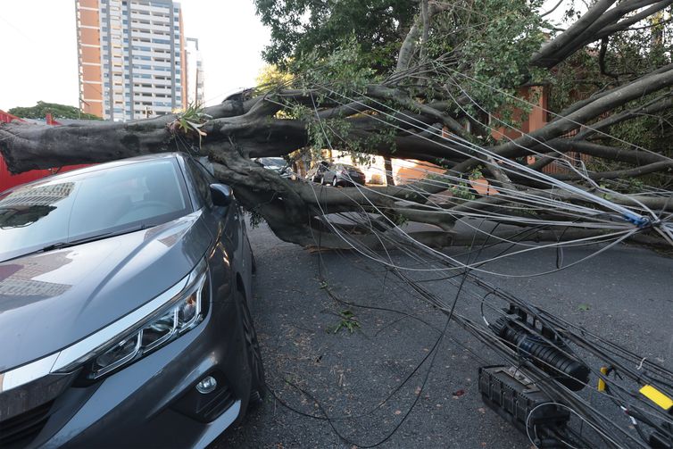 Comércio perde mais de R$ 50 milhões com falta de energia em São Paulo